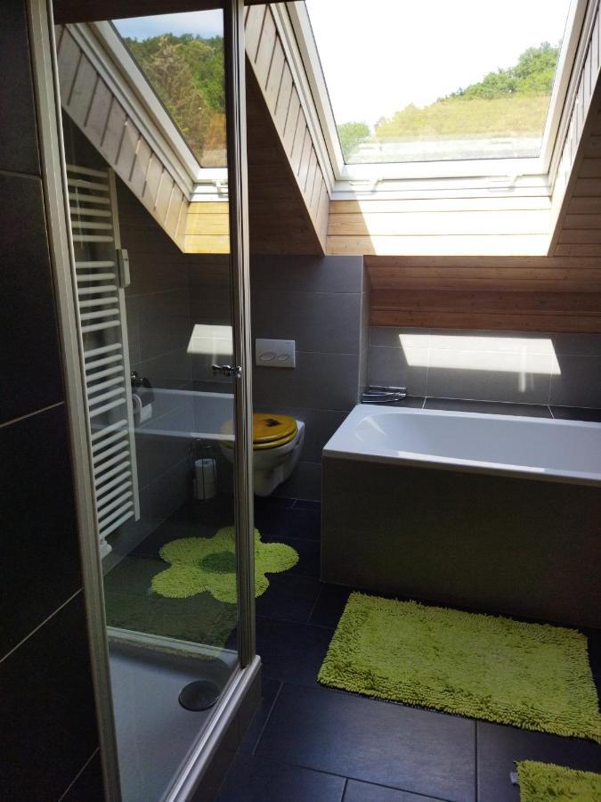 Aussergewoehnliche Atelierferienwohnung Mit Balkon An Der Donau Winzer Exterior photo