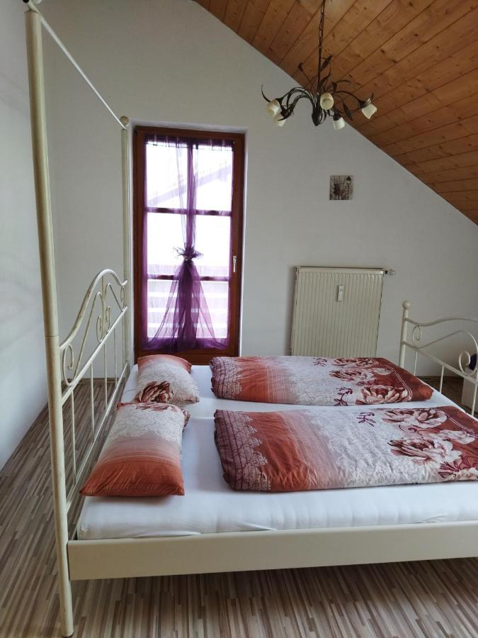 Aussergewoehnliche Atelierferienwohnung Mit Balkon An Der Donau Winzer Exterior photo